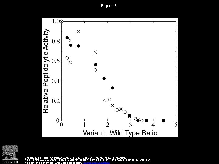 Figure 3 Journal of Biological Chemistry 2000 2757080 -7086 DOI: (10. 1074/jbc. 275. 10.