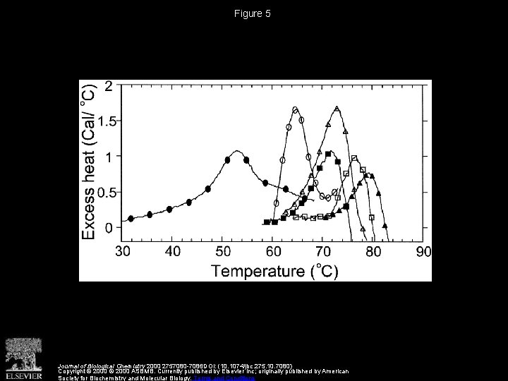 Figure 5 Journal of Biological Chemistry 2000 2757080 -7086 DOI: (10. 1074/jbc. 275. 10.