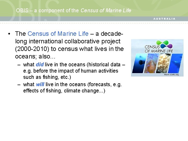 OBIS – a component of the Census of Marine Life • The Census of