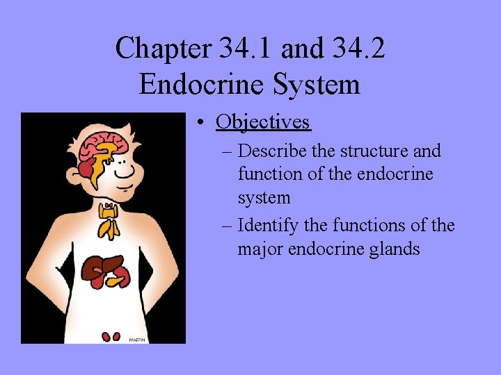 Chapter 34. 1 and 34. 2 Endocrine System • Objectives – Describe the structure