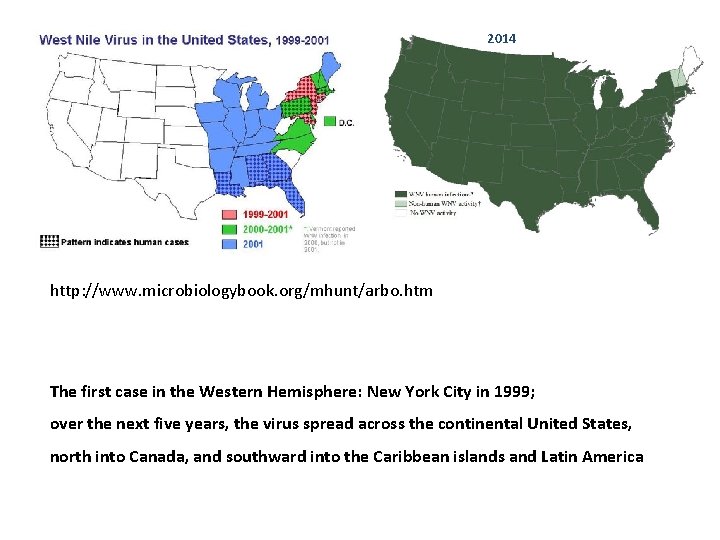 2014 http: //www. microbiologybook. org/mhunt/arbo. htm The first case in the Western Hemisphere: New