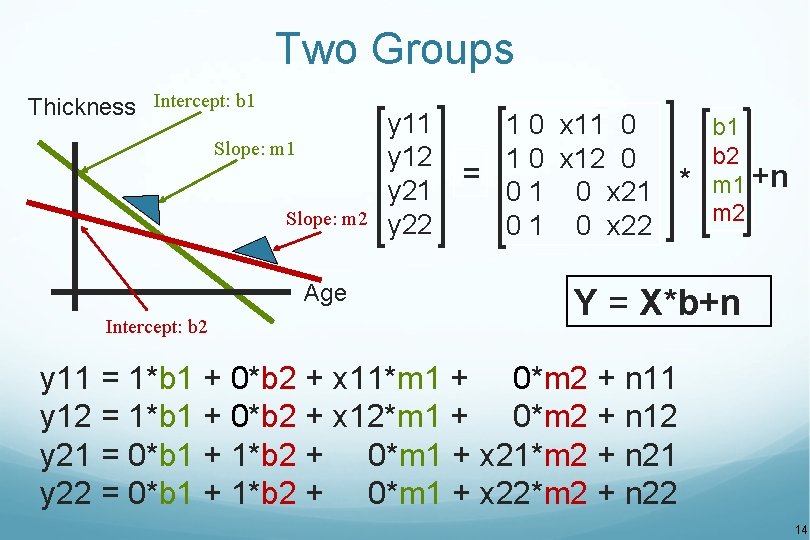 Two Groups Thickness Intercept: b 1 Slope: m 2 Age Intercept: b 2 y