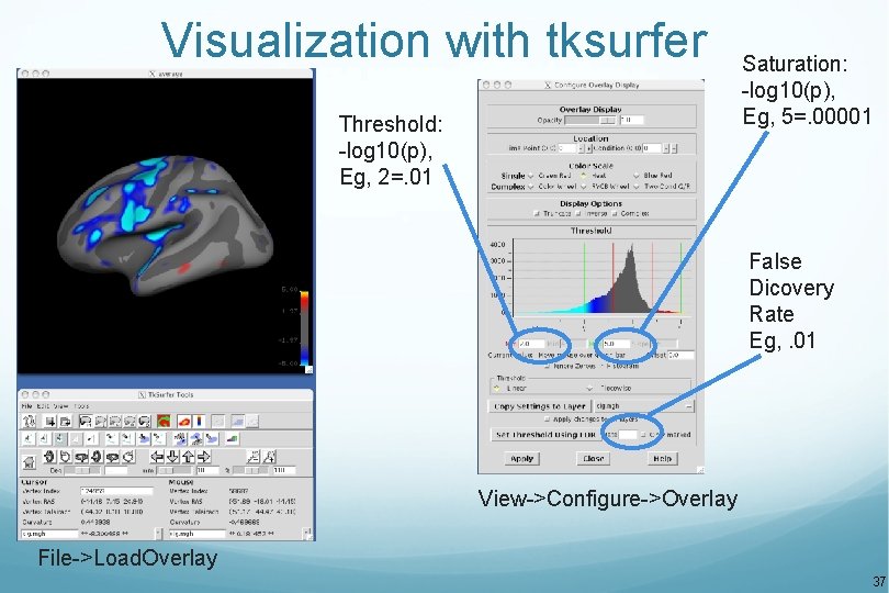 Visualization with tksurfer Threshold: -log 10(p), Eg, 2=. 01 Saturation: -log 10(p), Eg, 5=.