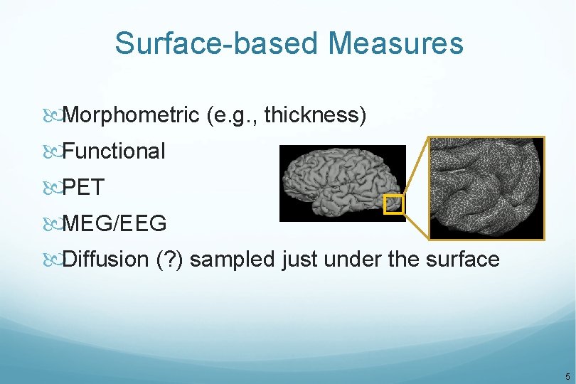 Surface-based Measures Morphometric (e. g. , thickness) Functional PET MEG/EEG Diffusion (? ) sampled