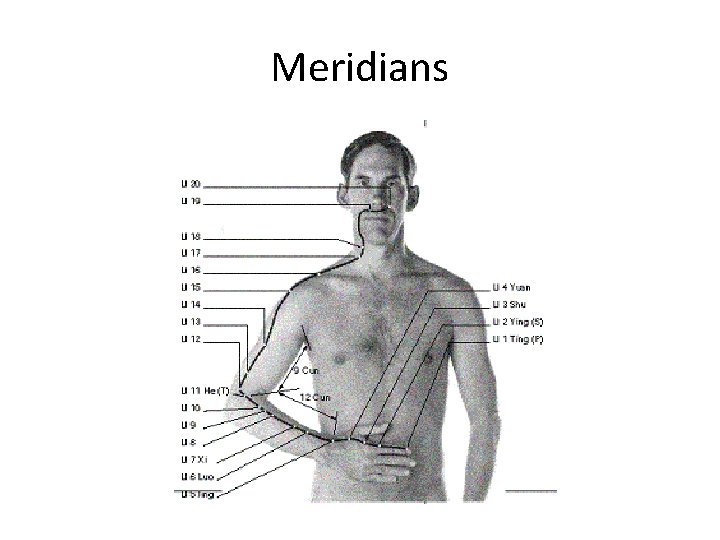 Meridians 