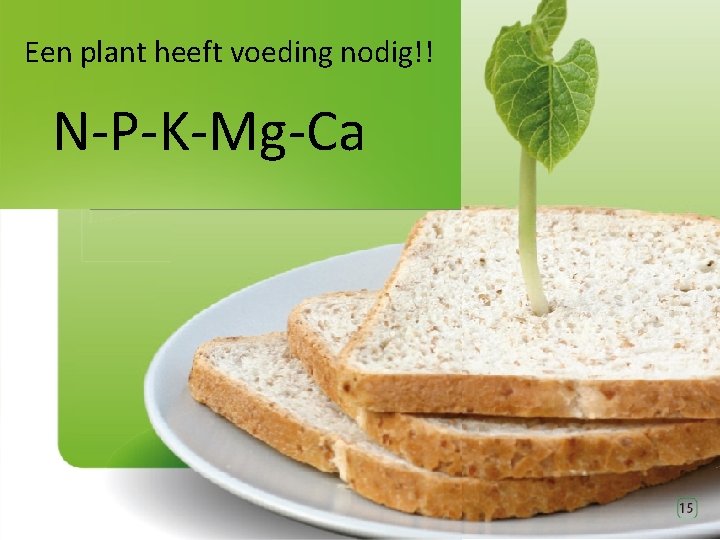 Een plant heeft voeding nodig!! N-P-K-Mg-Ca 