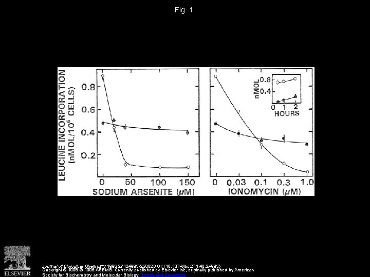 Fig. 1 Journal of Biological Chemistry 1996 27124995 -25002 DOI: (10. 1074/jbc. 271. 40.