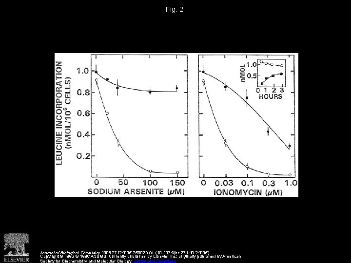 Fig. 2 Journal of Biological Chemistry 1996 27124995 -25002 DOI: (10. 1074/jbc. 271. 40.
