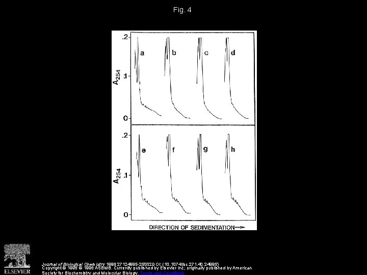 Fig. 4 Journal of Biological Chemistry 1996 27124995 -25002 DOI: (10. 1074/jbc. 271. 40.