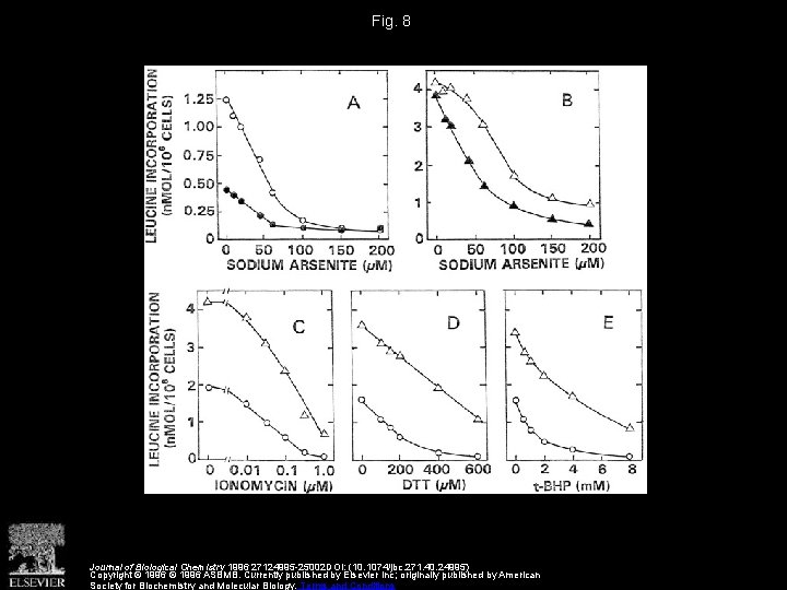 Fig. 8 Journal of Biological Chemistry 1996 27124995 -25002 DOI: (10. 1074/jbc. 271. 40.