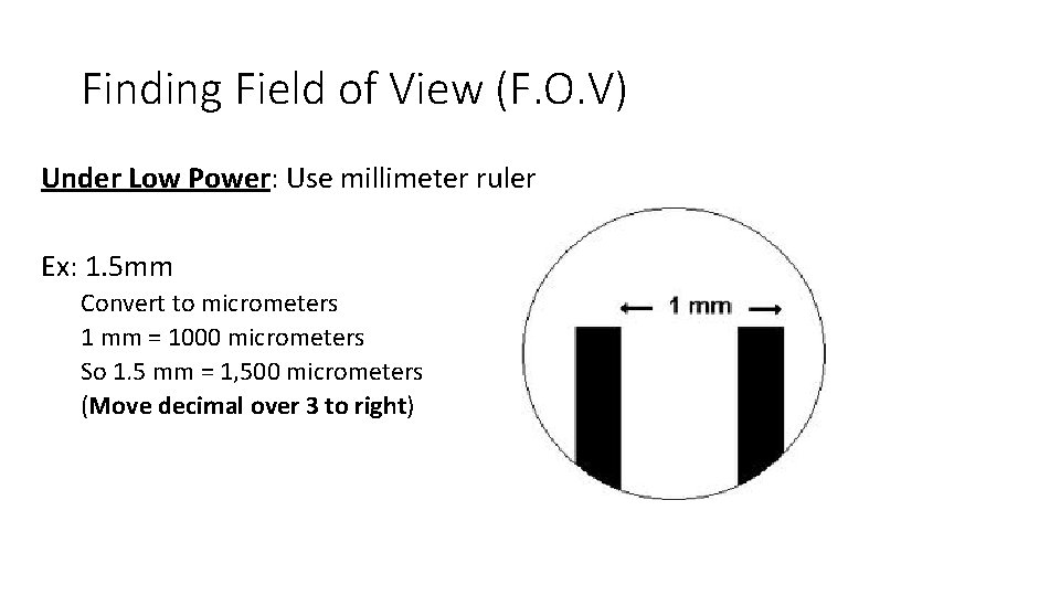 Finding Field of View (F. O. V) Under Low Power: Use millimeter ruler Ex: Finding Field of View (F. O. V) Under Low Power: Use millimeter ruler Ex: