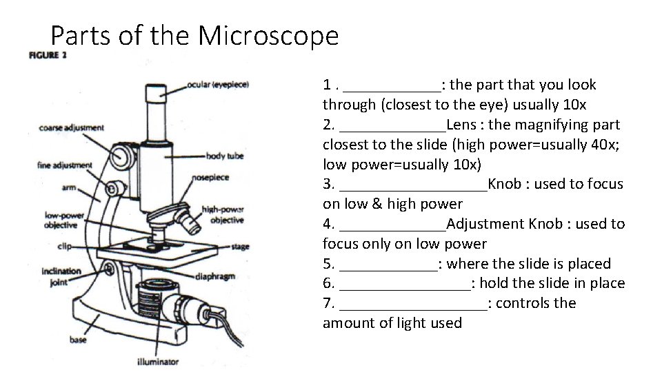 Parts of the Microscope 1. ______: the part that you look through (closest to