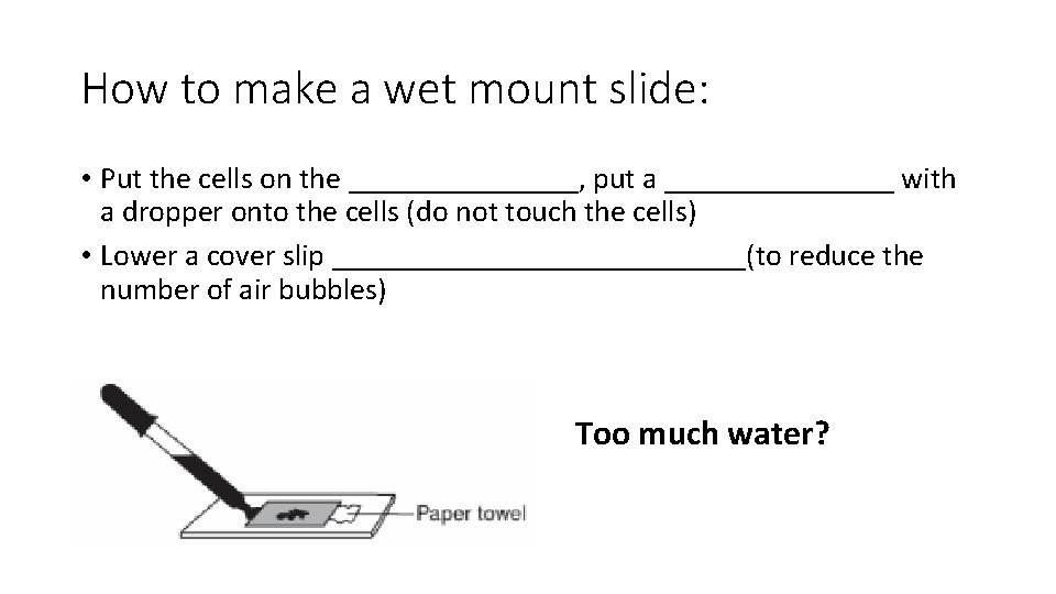 How to make a wet mount slide: • Put the cells on the ________, How to make a wet mount slide: • Put the cells on the ________,