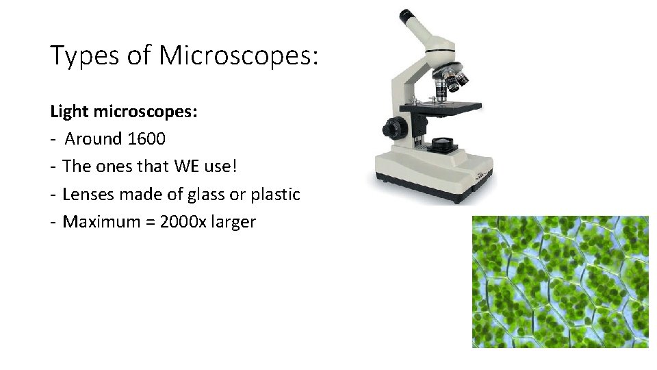 Types of Microscopes: Light microscopes: - Around 1600 - The ones that WE use! Types of Microscopes: Light microscopes: - Around 1600 - The ones that WE use!
