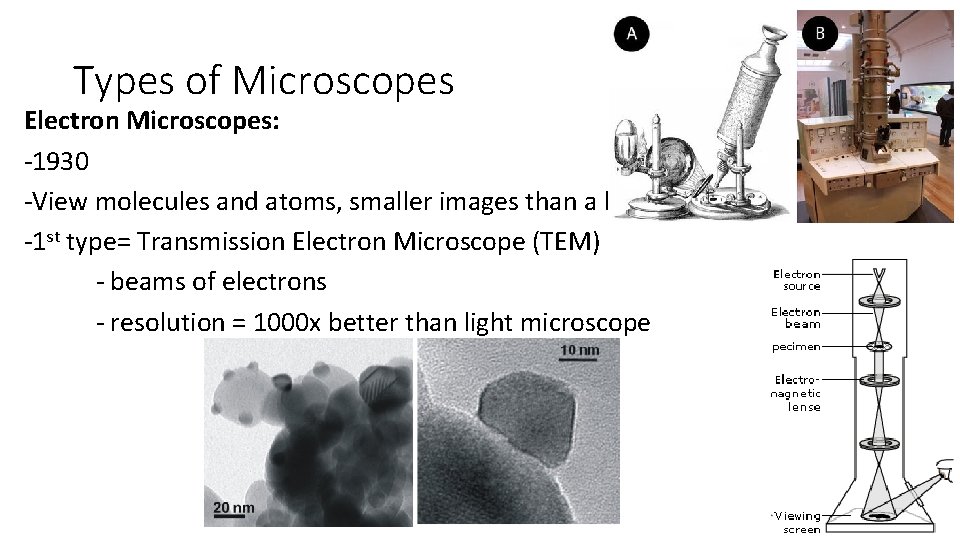 Types of Microscopes Electron Microscopes: -1930 -View molecules and atoms, smaller images than a