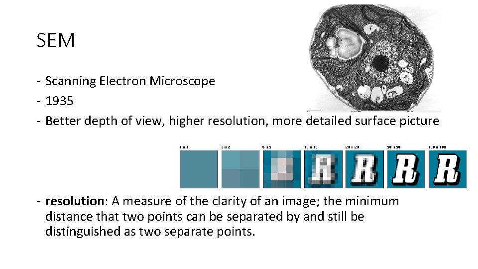 SEM - Scanning Electron Microscope - 1935 - Better depth of view, higher resolution,