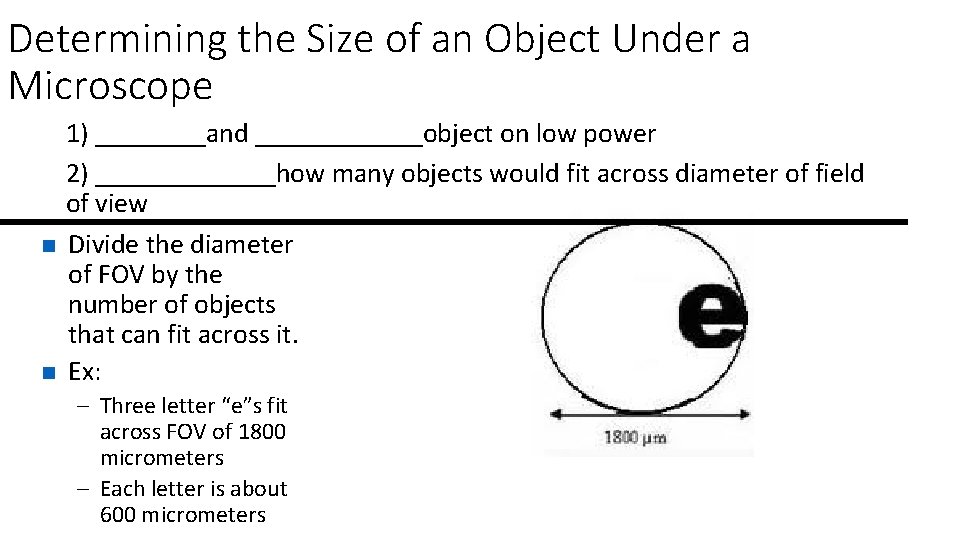 Determining the Size of an Object Under a Microscope n n 1) ____and ______object Determining the Size of an Object Under a Microscope n n 1) ____and ______object