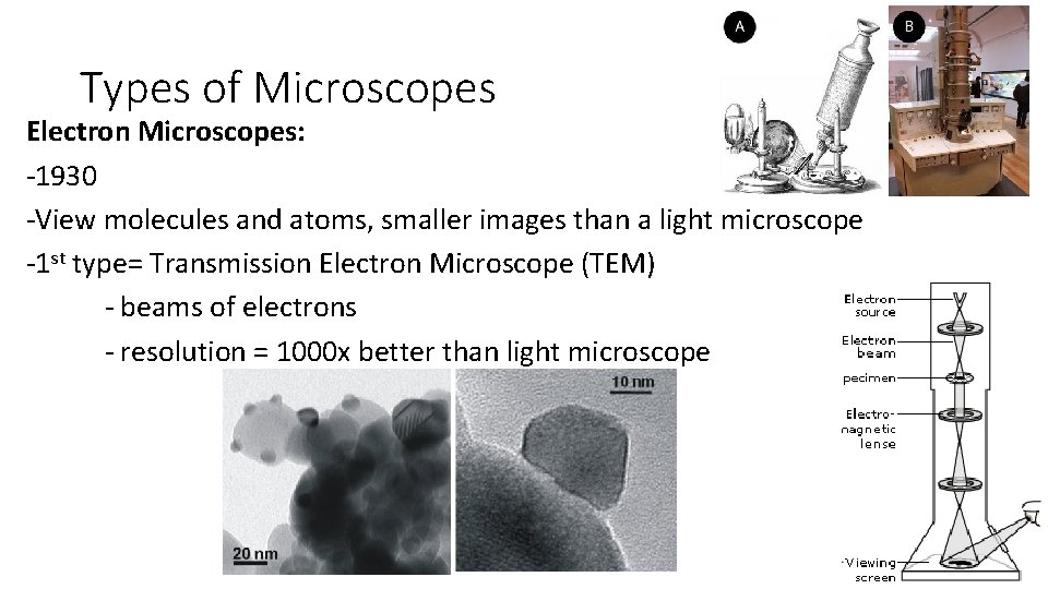 Types of Microscopes Electron Microscopes: -1930 -View molecules and atoms, smaller images than a