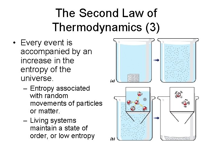 The Second Law of Thermodynamics (3) • Every event is accompanied by an increase