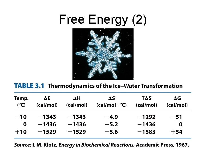 Free Energy (2) 