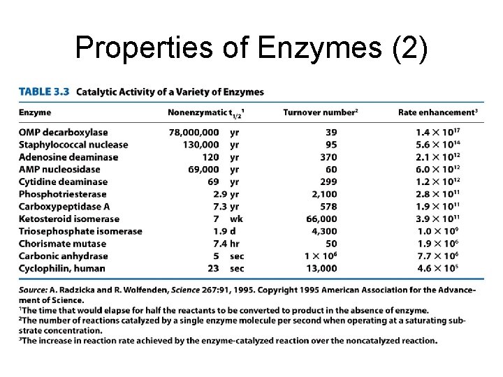 Properties of Enzymes (2) 