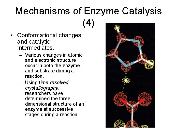 Mechanisms of Enzyme Catalysis (4) • Conformational changes and catalytic intermediates. – Various changes