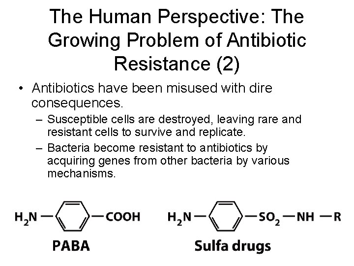 The Human Perspective: The Growing Problem of Antibiotic Resistance (2) • Antibiotics have been