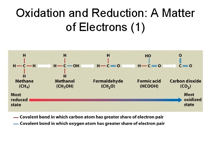 Oxidation and Reduction: A Matter of Electrons (1) 