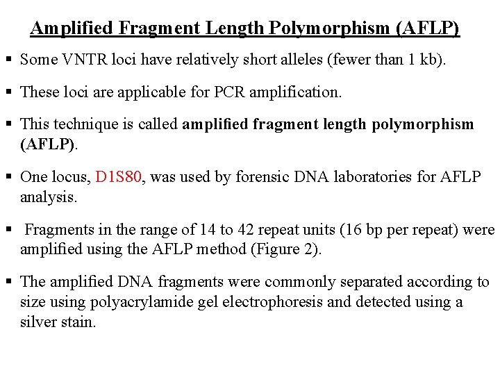 Amplified Fragment Length Polymorphism (AFLP) Some VNTR loci have relatively short alleles (fewer than