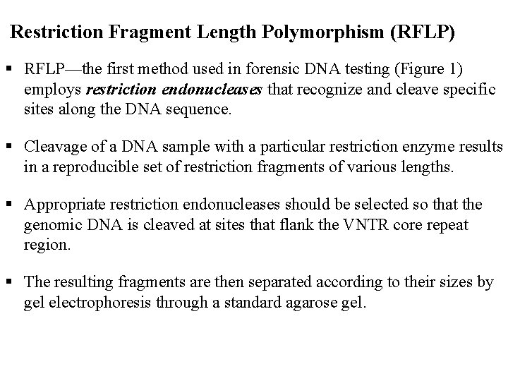 Restriction Fragment Length Polymorphism (RFLP) RFLP—the first method used in forensic DNA testing (Figure