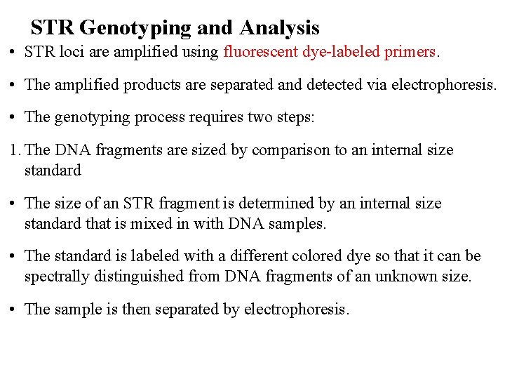 STR Genotyping and Analysis • STR loci are amplified using fluorescent dye-labeled primers. •