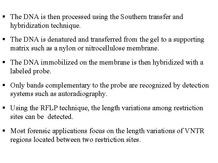  The DNA is then processed using the Southern transfer and hybridization technique. The