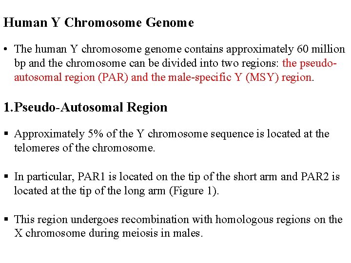 Human Y Chromosome Genome • The human Y chromosome genome contains approximately 60 million