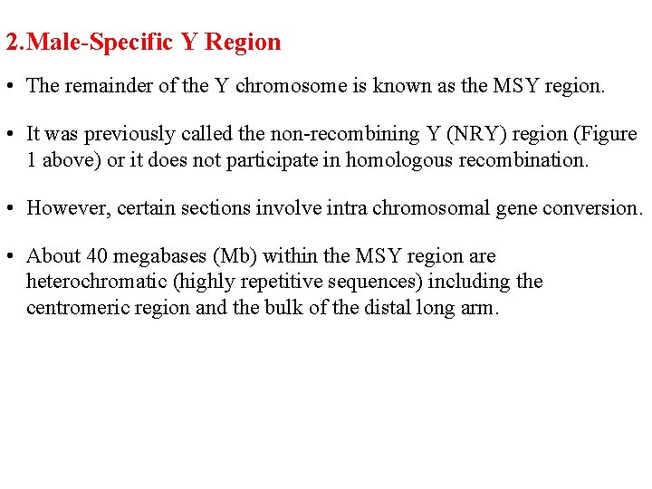 2. Male-Specific Y Region • The remainder of the Y chromosome is known as