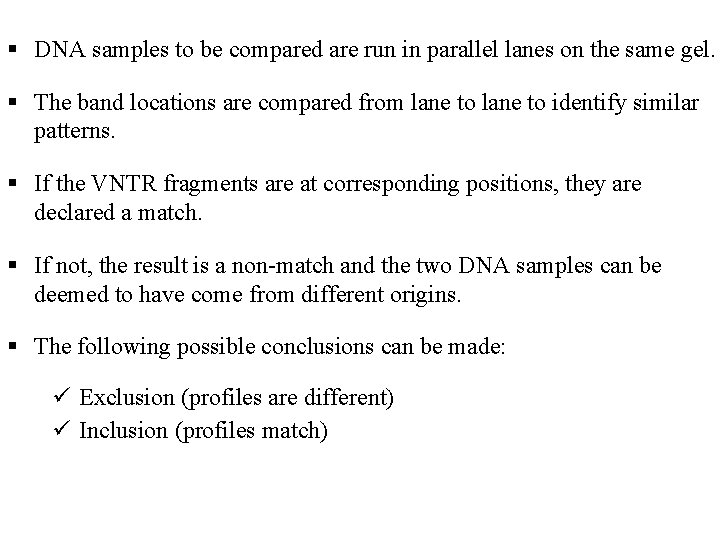  DNA samples to be compared are run in parallel lanes on the same