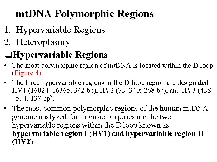 mt. DNA Polymorphic Regions 1. Hypervariable Regions 2. Heteroplasmy q. Hypervariable Regions • The