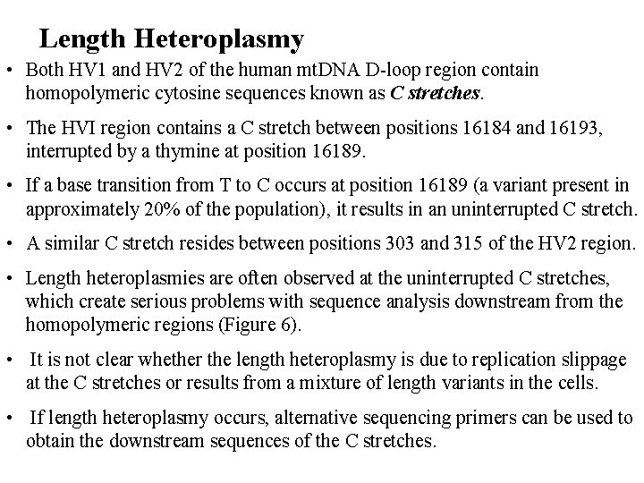 Length Heteroplasmy • Both HV 1 and HV 2 of the human mt. DNA