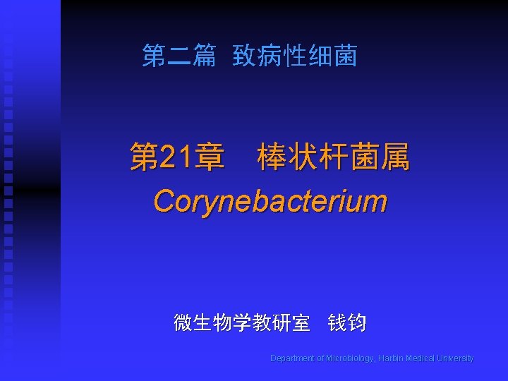 第二篇 致病性细菌 第 21章 棒状杆菌属 Corynebacterium 微生物学教研室 钱钧 Department of Microbiology, Harbin Medical University