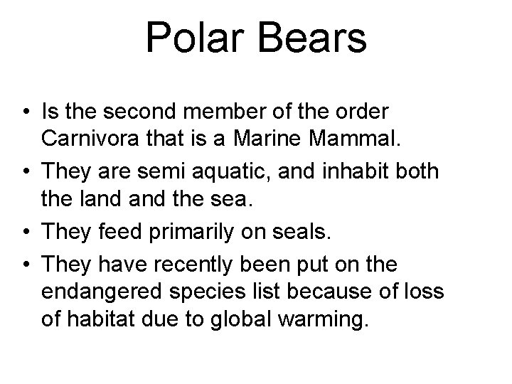 Polar Bears • Is the second member of the order Carnivora that is a
