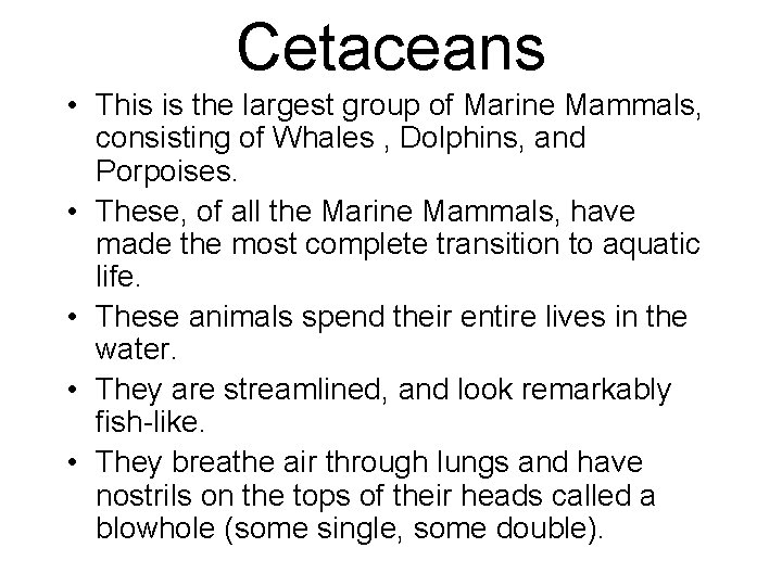 Cetaceans • This is the largest group of Marine Mammals, consisting of Whales ,