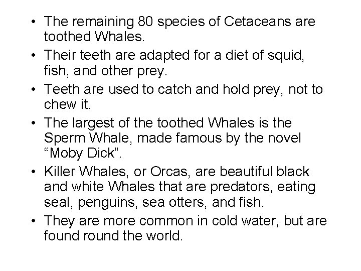  • The remaining 80 species of Cetaceans are toothed Whales. • Their teeth
