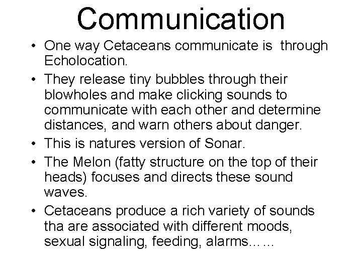 Communication • One way Cetaceans communicate is through Echolocation. • They release tiny bubbles