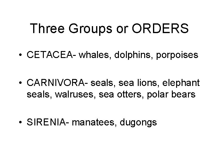 Three Groups or ORDERS • CETACEA- whales, dolphins, porpoises • CARNIVORA- seals, sea lions,