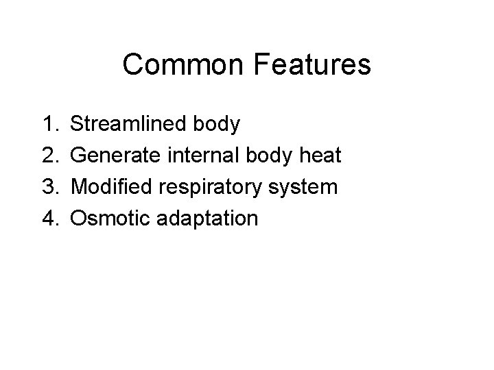 Common Features 1. 2. 3. 4. Streamlined body Generate internal body heat Modified respiratory