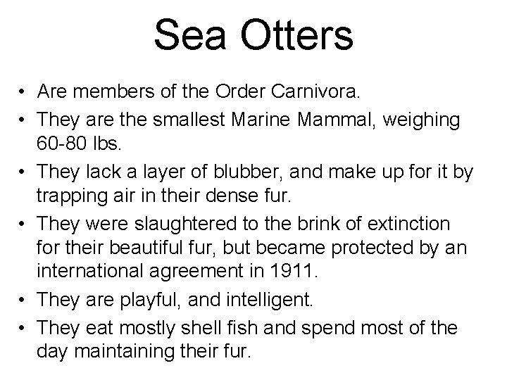 Sea Otters • Are members of the Order Carnivora. • They are the smallest
