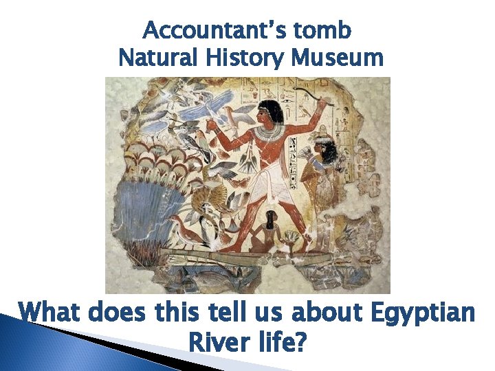 Accountant’s tomb Natural History Museum What does this tell us about Egyptian River life?