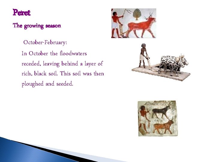 Peret The growing season October-February: In October the floodwaters receded, leaving behind a layer