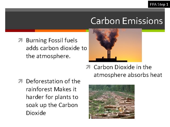 Aim How do people affect the carbon cycle