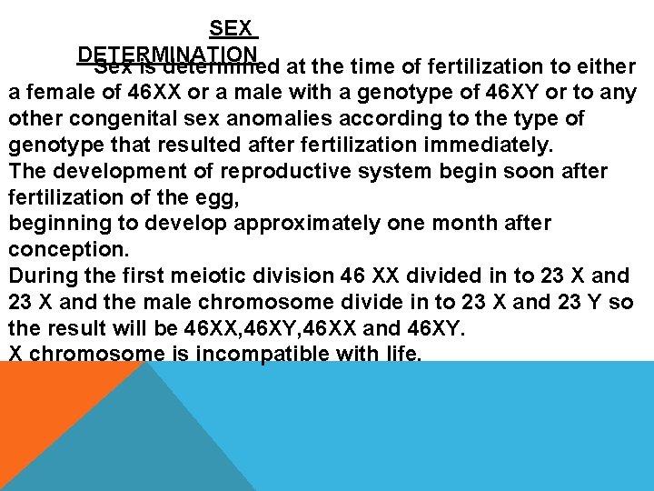 SEX DETERMINATION Sex is determined at the time of fertilization to either a female