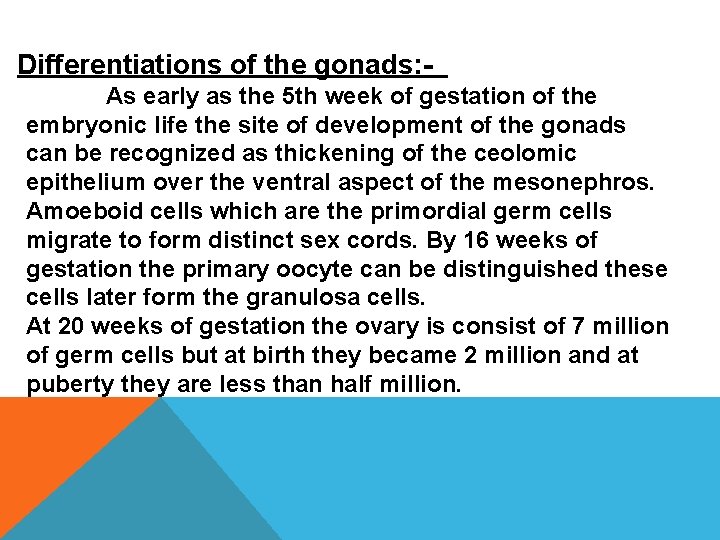 Differentiations of the gonads: As early as the 5 th week of gestation of